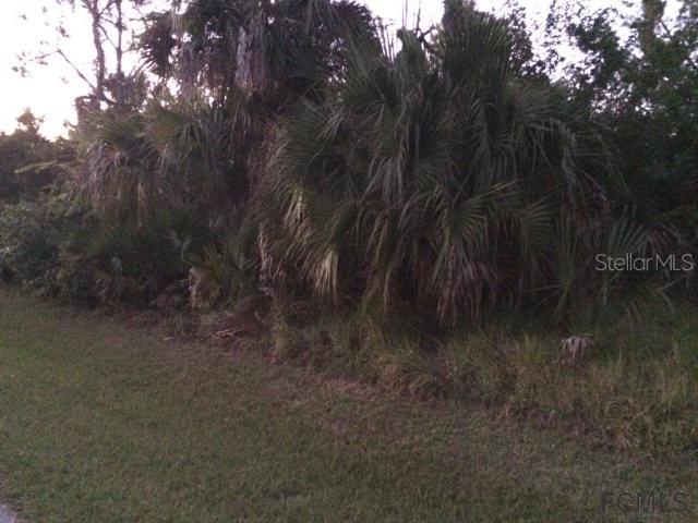 178 Coral Reef Ct., Palm Coast, FL 32137