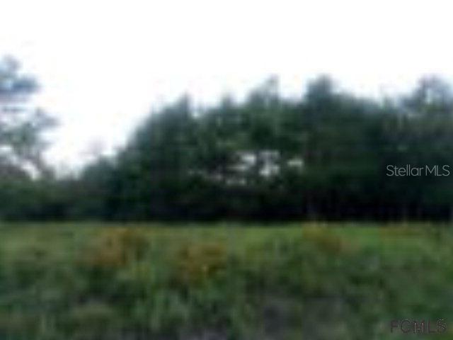 35 Fernon Ln., Palm Coast, FL 32137