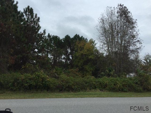 79 Buttonworth Dr., Palm Coast, FL 32137