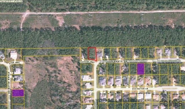 2 Essay Way, Palm Coast, FL 32164