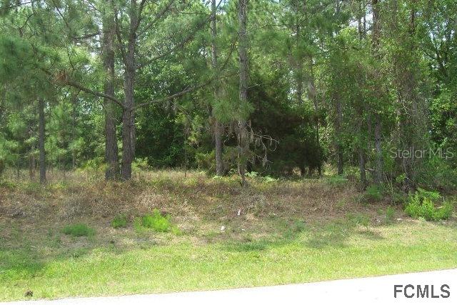 29 Karat Path, Palm Coast, FL 32137