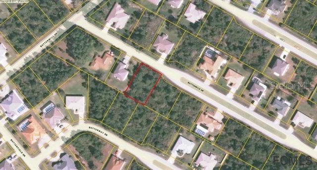 41 Buttermilk Dr., Palm Coast, FL 32137