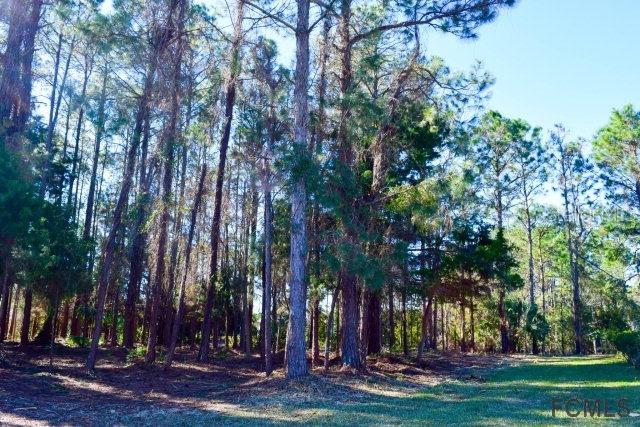 69 Bickford Dr., Palm Coast, FL 32137