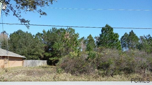184 Bird Of Paradise Dr., Palm Coast, FL 32137