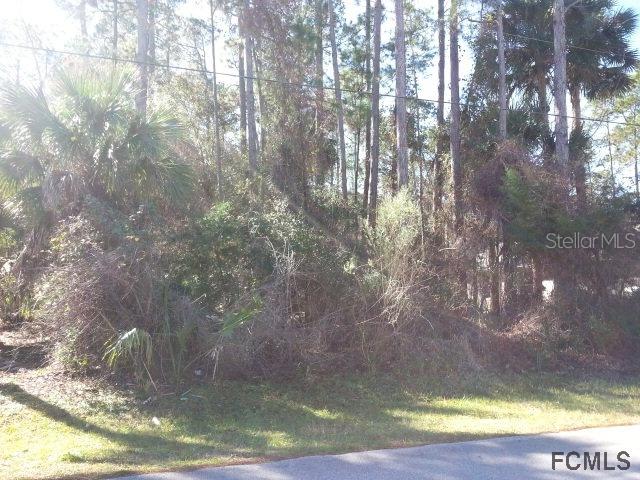 14 Poinciana Ln., Palm Coast, FL 32164