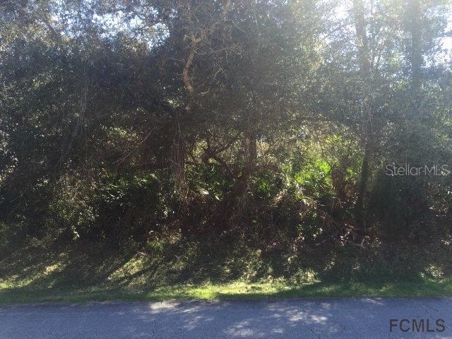 78 Ferndale Ln., Palm Coast, FL 32137