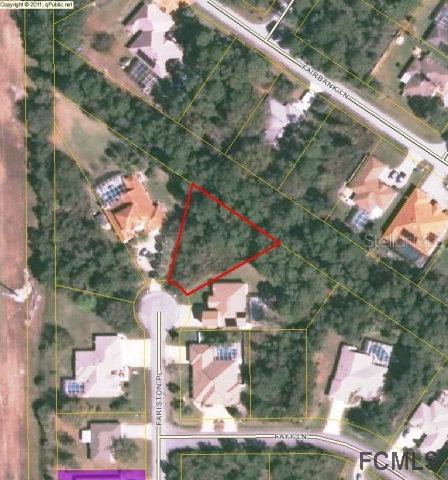 56 Fariston Pl., Palm Coast, FL 31237