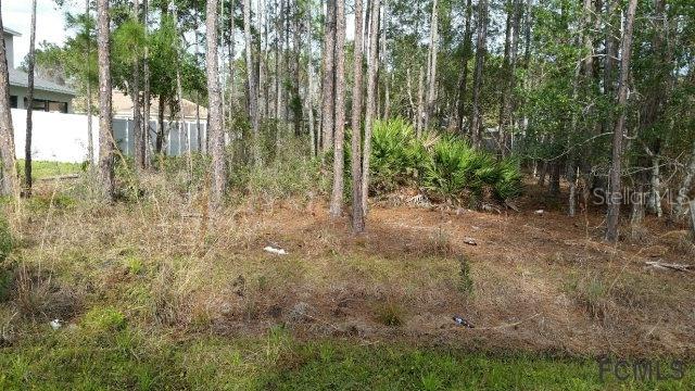 9 Kalanchoe Ct., Palm Coast, FL 32164