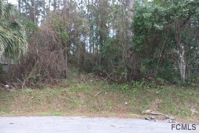 11 Washington Pl., Palm Coast, FL 32164