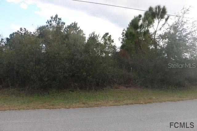 2 Lewisdale Pl., Palm Coast, FL 32137