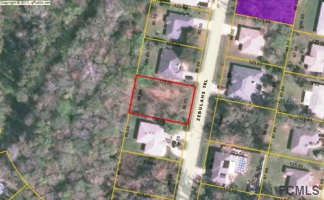 55 Zebulahs Tr., Palm Coast, FL 32164