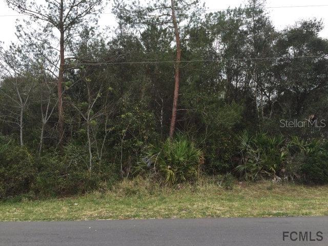 39 Fieldstone Ln., Palm Coast, FL 32137