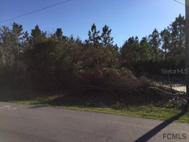 33 Freneau Ln., Palm Coast, FL 32137