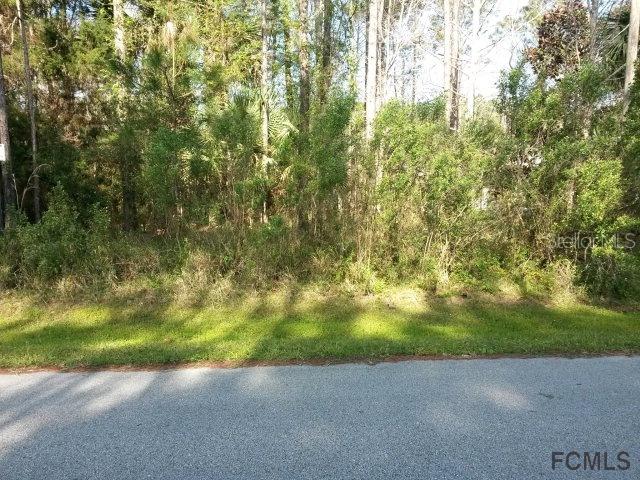 15 Long Pl., Palm Coast, FL 32137