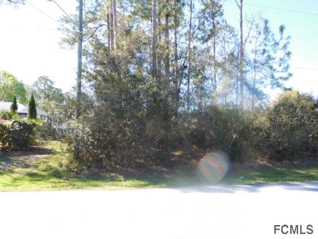 128 Wood Haven Dr., Palm Coast, FL 32164