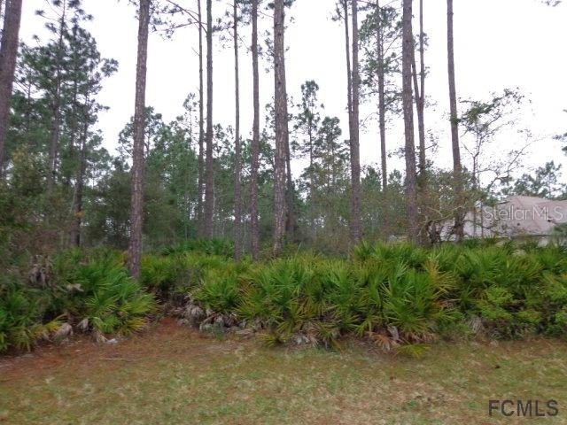 57 Ebb Tide Dr., Palm Coast, FL 32164