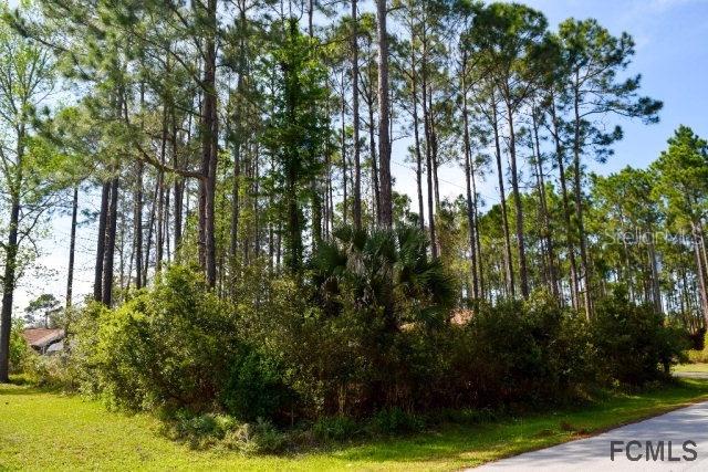 18 Farnell Ln., Palm Coast, FL 32137