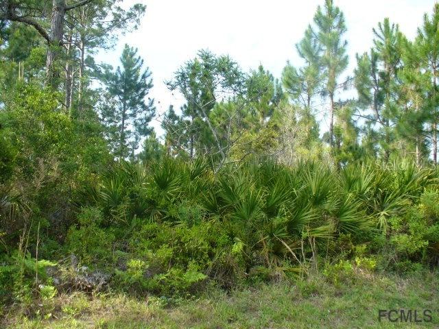 76 Putter Dr., Palm Coast, FL 32137