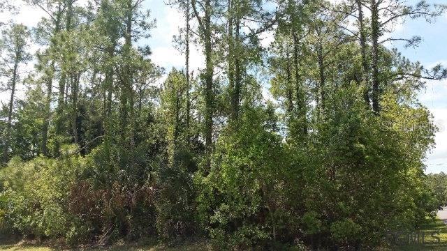 27 Emerald Ln., Palm Coast, FL 32164