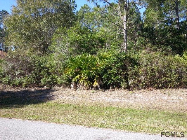 36 Post Tree Ln., Palm Coast, FL 32164