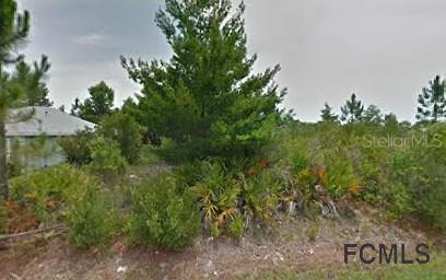 53 Frenora Ln., Palm Coast, FL 32137