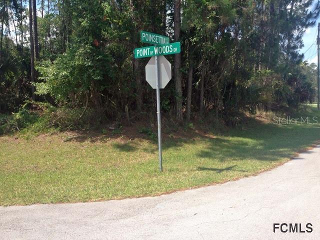 46 Poinsettia Lane, Palm Coast, FL 32164