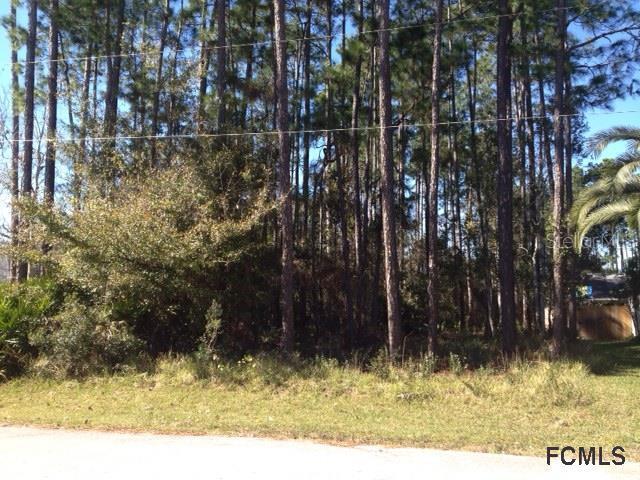 6 Edgewater Pl., Palm Coast, FL 32164