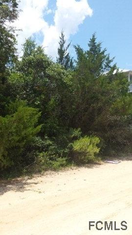 36 Moody Dr., Palm Coast, FL 32137