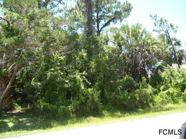 109 Colechester Ln., Palm Coast, FL 32137