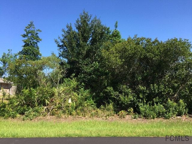 18 Louisiana Dr., Palm Coast, FL 32137