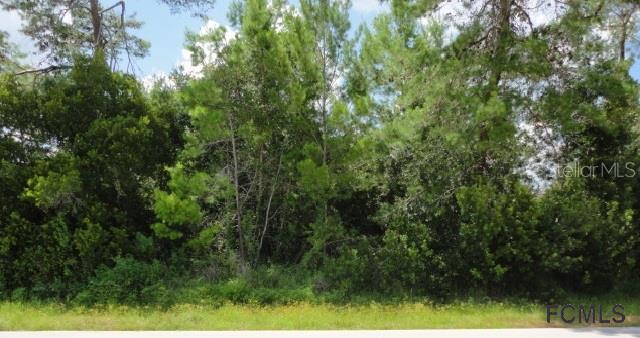 68 Faircastle Ln., Palm Coast, FL 32164