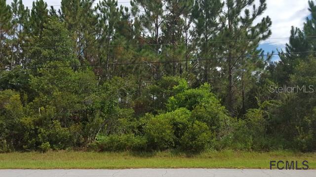 16 Larkspur Way, Palm Coast, FL 32137