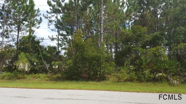 18 Larkspur Way, Palm Coast, FL 32145