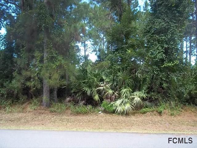 87 Sea Tr., Palm Coast, FL 32164