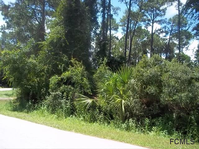 105 Ferndale Ln., Palm Coast, FL 32137