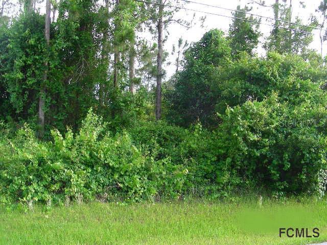 19 Raemoor Dr., Palm Coast, FL 32164