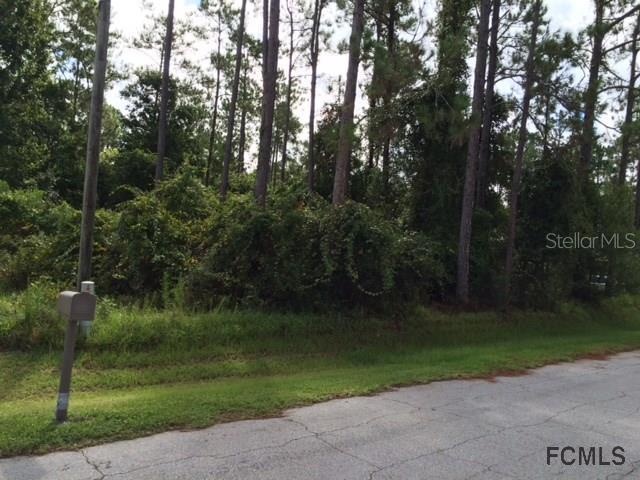10 Zenger Ct., Palm Coast, FL 32164