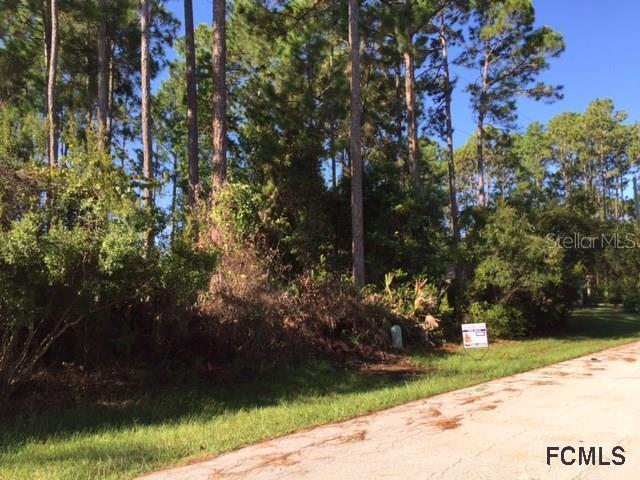 3 Eastvue Pl., Palm Coast, FL 32164