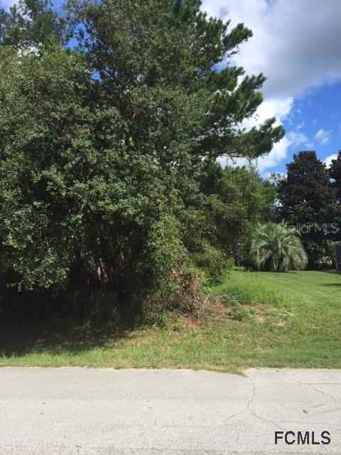 61 Ferndale Ln., Palm Coast, FL 32137