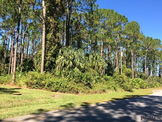 3 Lake Charles Pl., Palm Coast, FL 32137