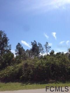 6 Wood Amber Ln., Palm Coast, FL 32164