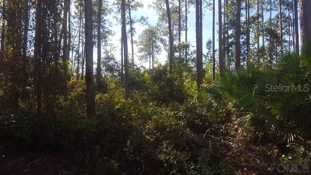 19 Reinhardt Ln., Palm Coast, FL 32164