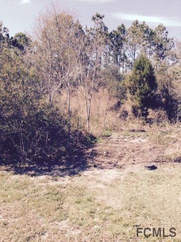63 Lema Ln., Palm Coast, FL 32137