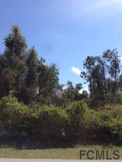 8 Wood Amber Ln., Palm Coast, FL 32164