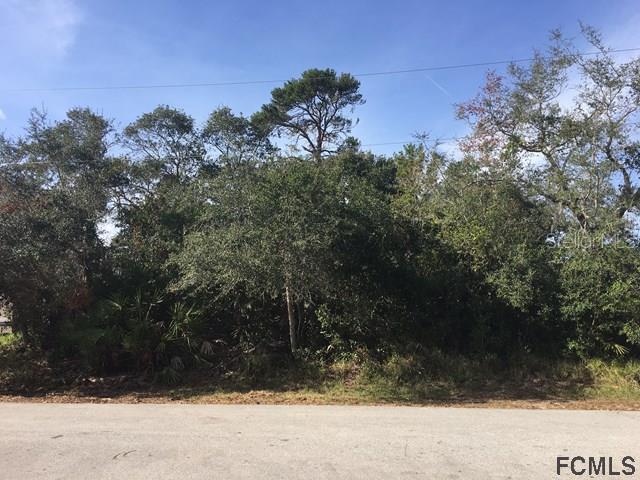 77 Freemont Turn, Palm Coast, FL 32137