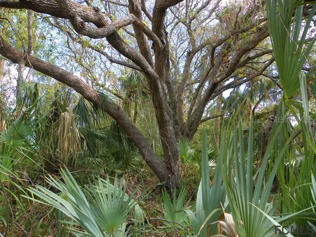 20xx S Daytona Ave., Flagler Beach, FL 32136