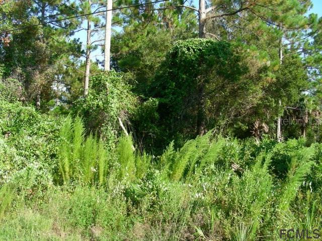 5 Freneau Ln., Palm Coast, FL 32137