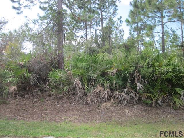 44 Frenora Ln., Palm Coast, FL 32137