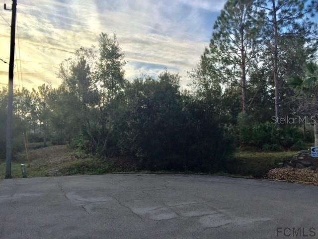 12 Lee Pl., Palm Coast, FL 32137