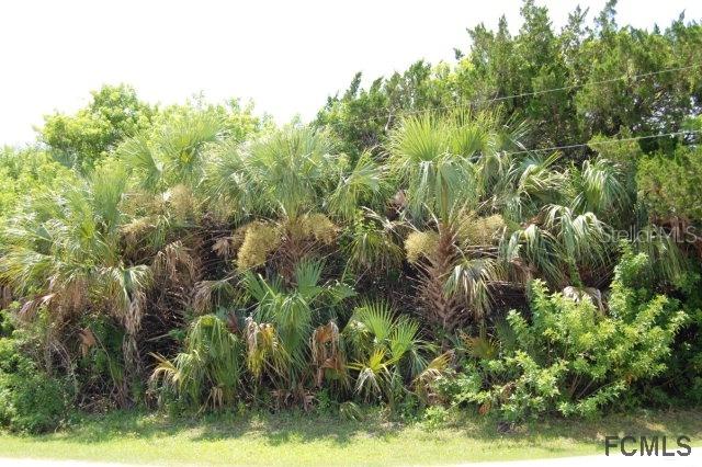 2600 S Daytona Ave., Flagler Beach, FL 32136